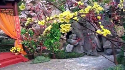 Hỏa Soái | 2002 | Tập 18 | GIALAC8631