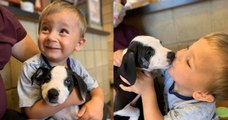 Un enfant de 2 ans, né avec une malformation, a adopté un chiot souffrant du même handicap physique