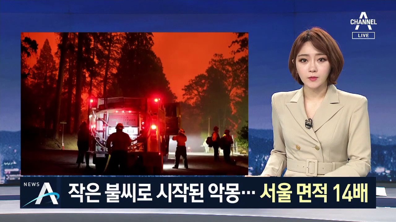 아기 성별확인 파티가 산불로…서울 14배 면적 ‘잿더미’