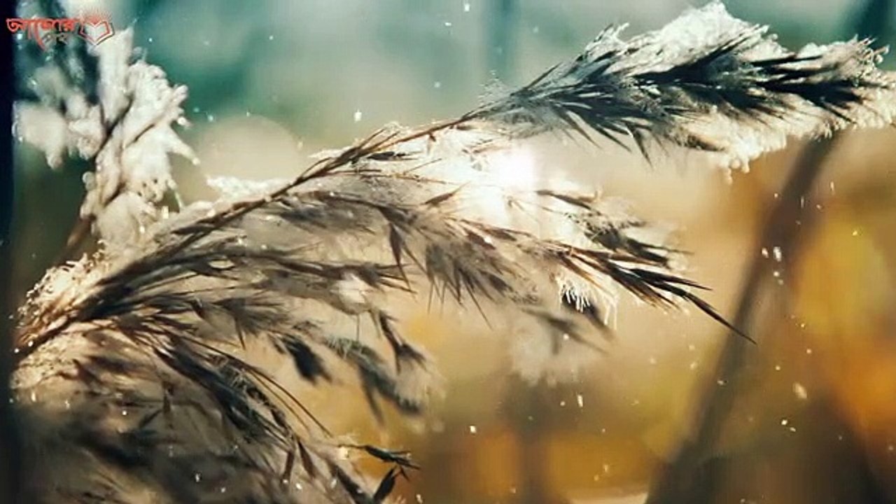 কেন রাসুল (সাঃ) দেরি করে ঘুমাতে নিষেধ করেছেন  ? রাত জাগলে ৩টি বিপদ আসবেই ! কুকুর কেন রাত জাগে ?     # AzadTechWorldPro #