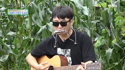'아트파머' 해석 씨는 옥수수 밭을 배경으로 열창중♪