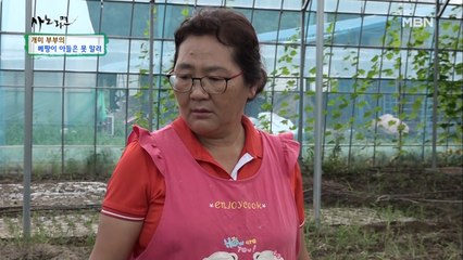 부자 싸움에 아내 등 터진다! 부자 사이를 위한 영미 씨의 고군분투♨