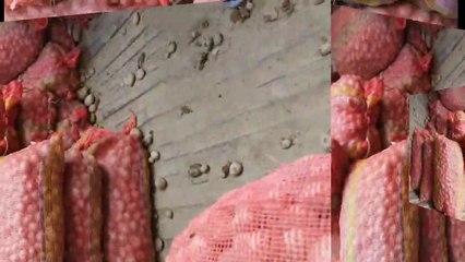 8 सितंबर 2020 आलू के भाव मंडी का