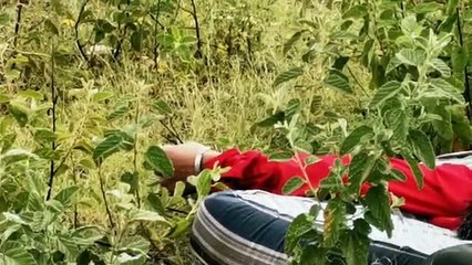 Lo encuentran asesinado cerca de la USE de Culiacán