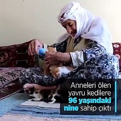 Adıyaman'ın Kahta ilçesinde yaşayan 96 yaşındaki Zeynep Duran, anneleri ölen dört Anadolu kedisi yavrusunu biberonla besliyor...