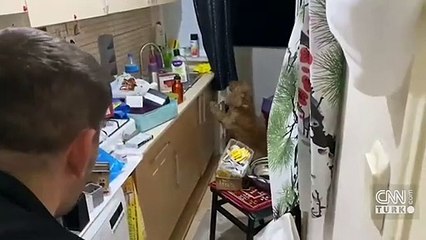 İranlı iş insanı kaçırıldı, polis, 24 saatte kurtardı | Video