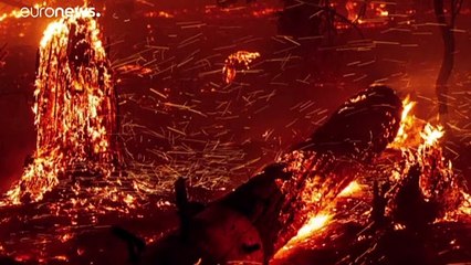 Waldbrände in Kalifornien - früher und verheerender als sonst