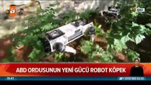 ABD ordusunda robot köpekler!