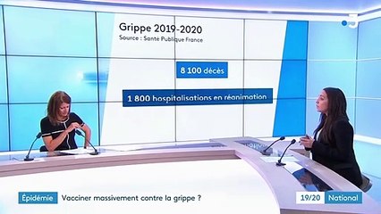 Epidémie : faut-il vacciner massivement contre la grippe ?
