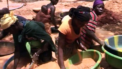 Environnement : Montée en puissance de l'orpaillage clandestin dans le parc de Taï