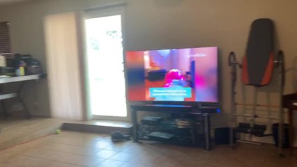 Dog Watches Animals' Videos on TV While Dozing off on Couch