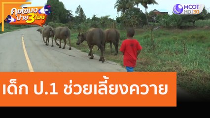 เด็ก ป.1 ช่วยเลี้ยงควาย [7 ก.ย. 63] คุยโขมงบ่าย 3 โมง | 9 MCOT HD