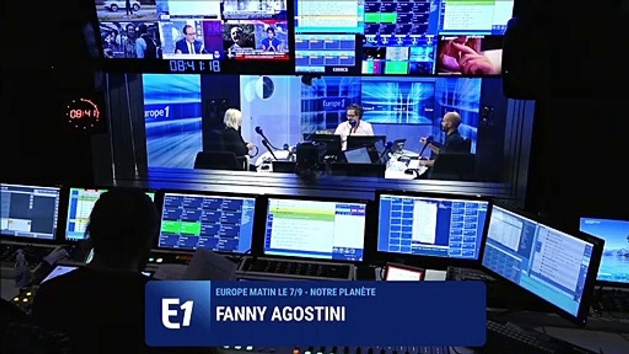 Biodiversité : les bouquetins sont de retour dans les Pyrénées