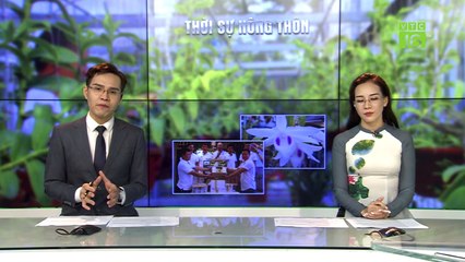 Khởi tố, bắt tạm giam đối tượng lừa bán lan đột biến | VTC16