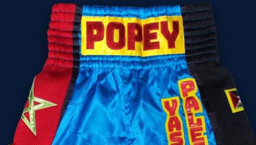 cheap custom boxing shorts