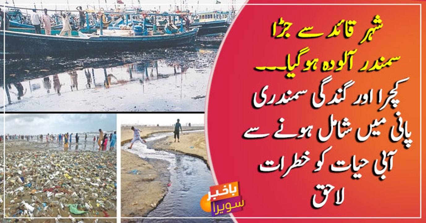 Karachi: Garbage and dirt entering seawater endangers aquatic life