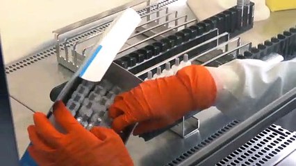 AstraZeneca pausa ensayo de vacuna Covid por "una enfermedad potencialmente inexplicable"