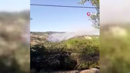 Denizli’de orman yangınında 3 hektar alan zarar gördü