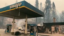 Rekordfläche durch Waldbrände in Kalifornien zerstört