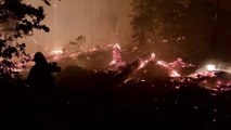 Rekordfläche durch Waldbrände in Kalifornien zerstört