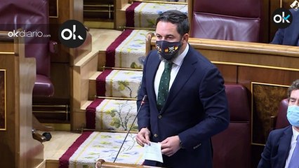 Este es el significado de la mascarilla que ha llevado Santiago Abascal al Congreso de los Diputados