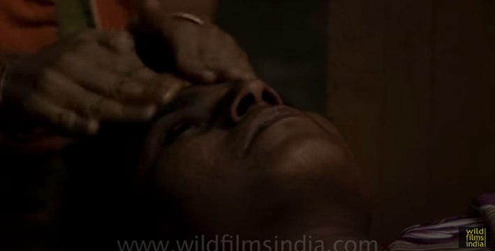 Cow urine oil massage to cure migraines and sleeping disorders