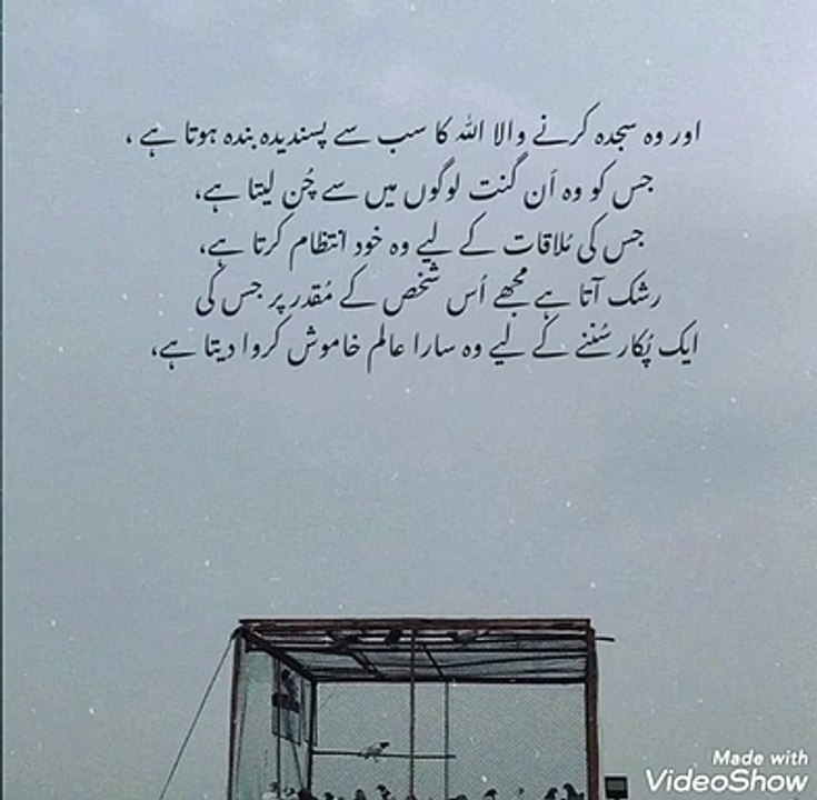 nice lines...