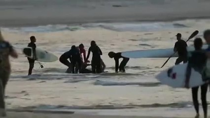 Muere un surfista en Australia por el ataque de un tiburón