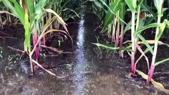 Suruç’ta 5 bin dönüm tarım arazisi sular altında kaldı