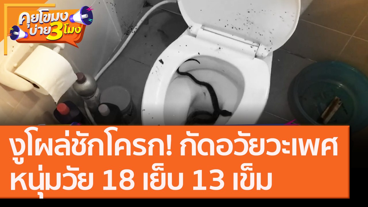 งูโผล่ชักโครก! กัดอวัยวะเพศหนุ่มวัย 18 เย็บ 13 เข็ม [9 ก.ย. 63] คุยโขมงบ่าย 3 โมง | 9 MCOT HD