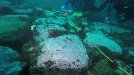 Esponjas antárticas muestran los daños del cambio climático