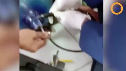 Un chat a la tête coincée dans le goulot d'une bouteille