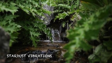 Relaxing Sleep Rainforest Sound....