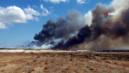 Gelibolu’da orman yangını