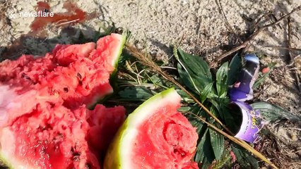 YouTuber tests if frozen watermelons withstand the power of fireworks