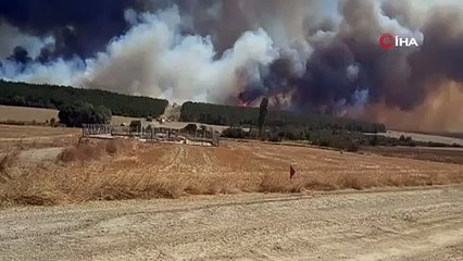 Tekirdağ'da başlayan yangın Çanakkale'ye ilerliyor