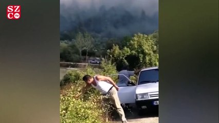 Bursa'da orman yangını 
