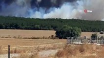 Tekirdağ’da orman yangını: Rüzgarın etkisiyle yangın Çanakkale’ye sıçradı