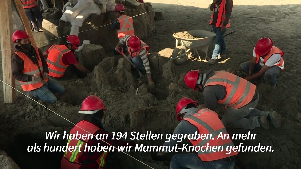 Riesige Mammutknochen auf Flughafenbaustelle entdeckt