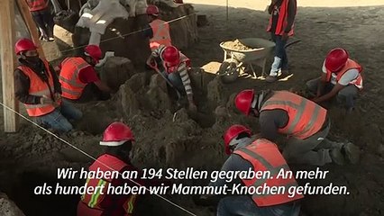 Riesige Mammutknochen auf Flughafenbaustelle entdeckt