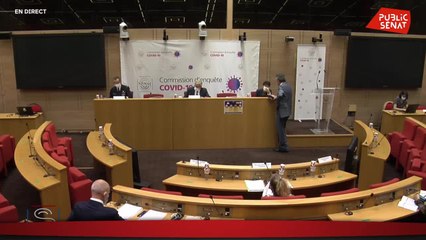 Commission d'enquête Covid : audition de l'ancien commandant de la base aérienne de Creil - En séance (09/09/2020)