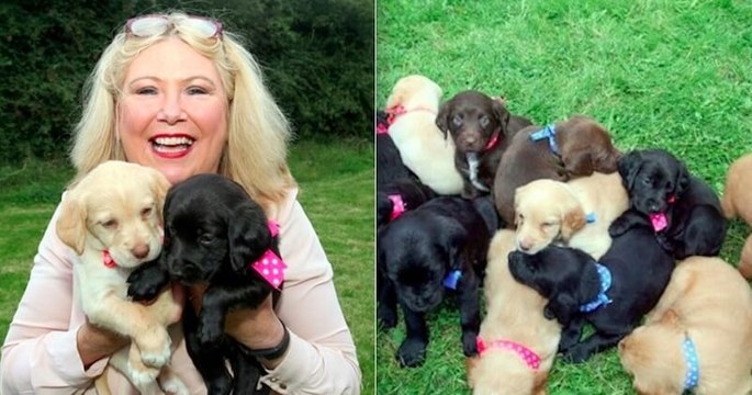 Sa stérilisation annulée à cause du confinement, cette chienne a donné naissance à l'une des plus grandes portées de tous les temps