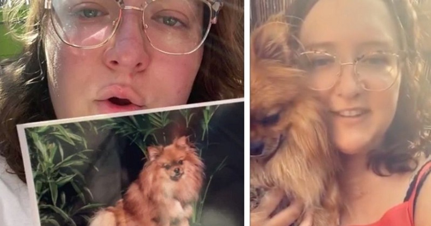 Aidée par Rémi Gaillard, une jeune femme retrouve sa chienne qui avait été volée et vendue sur un marché aux puces