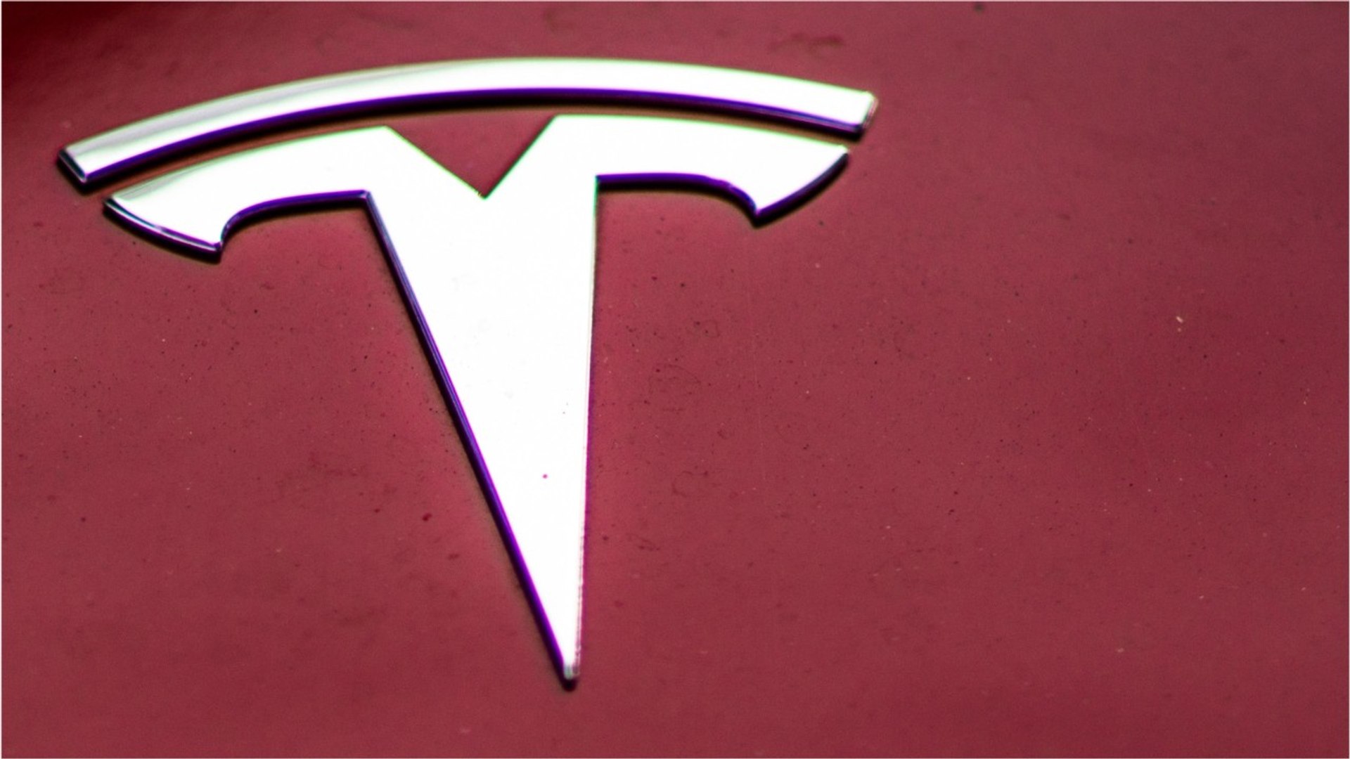 ⁣Tesla Stock Rallies 10%