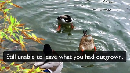 FOR A NEW BEGINNING - A Poem about starting over by John O’Donohue, Narrated by Gabriel Gonsalves