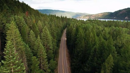 Drone view of road in the middle of forest