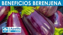 8 propiedades y beneficios de la berenjena | QueApetito