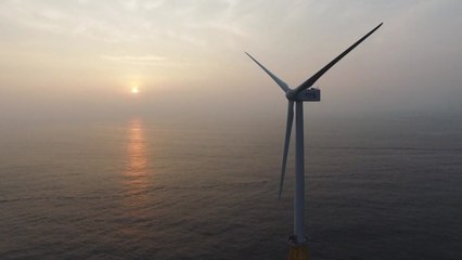 어민 상생 찬성...신안 해상풍력 조성 청신호! / YTN