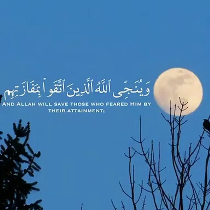 تلاوة هادئة ♡ ارح قلبك -- حالات واتس اب _ ستوري...