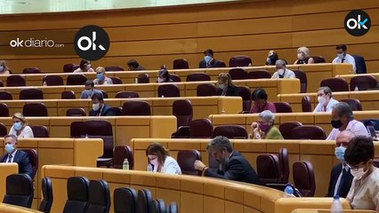 El senador de ERC Jordi Martí cazado sin mascarilla en el Pleno de la Cámara Baja